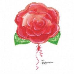 Pallone Rosa Rossa 45 cm