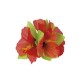 Hair Clip Hawaiano