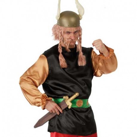 Costume Asterix